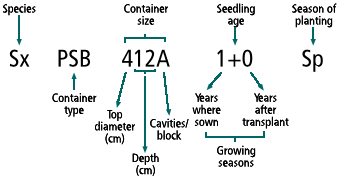 Solid SKU System