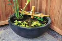 Aquascape Fountain.png Aquascape Fountain.png