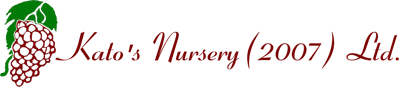 katos-nursery-ltd-growser-of-quality-nursery-stock
