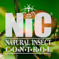 NIC.png NIC.png