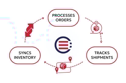 Automation Transforms Supply Chain Operations