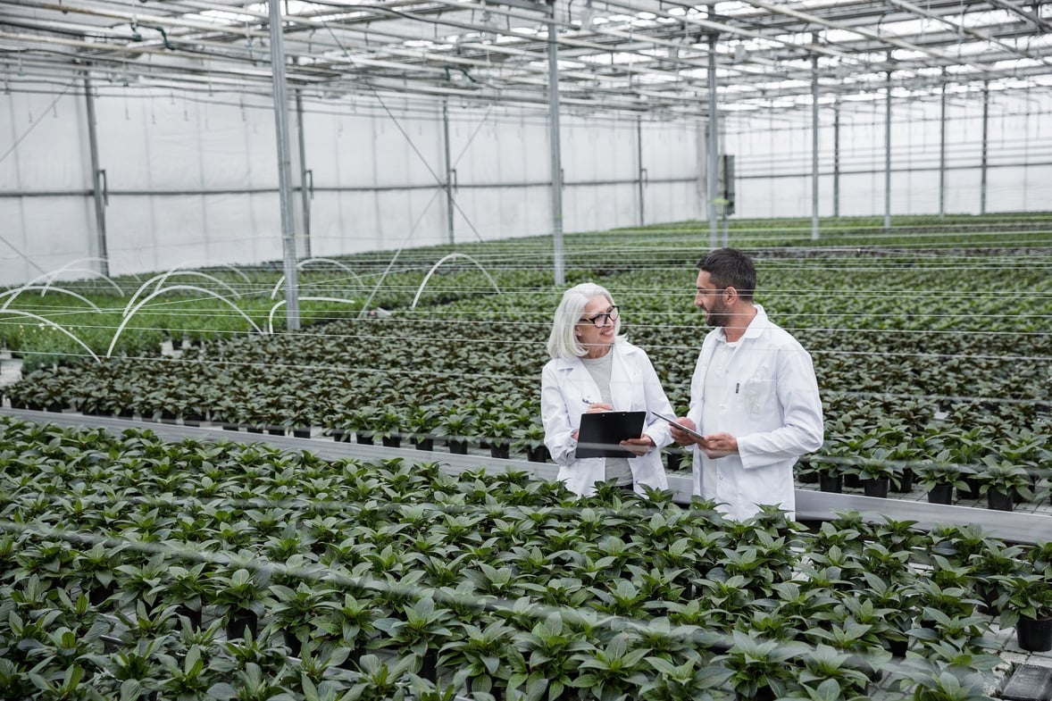 Three Greenhouse Technologies that Increase Production