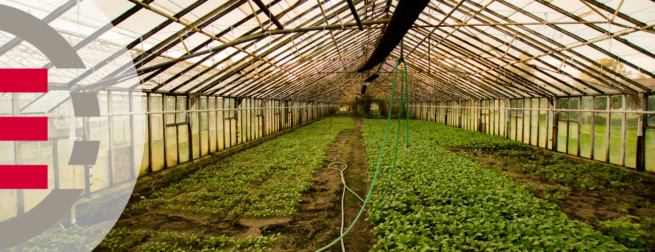 The Evolution of Technology in Horticulture