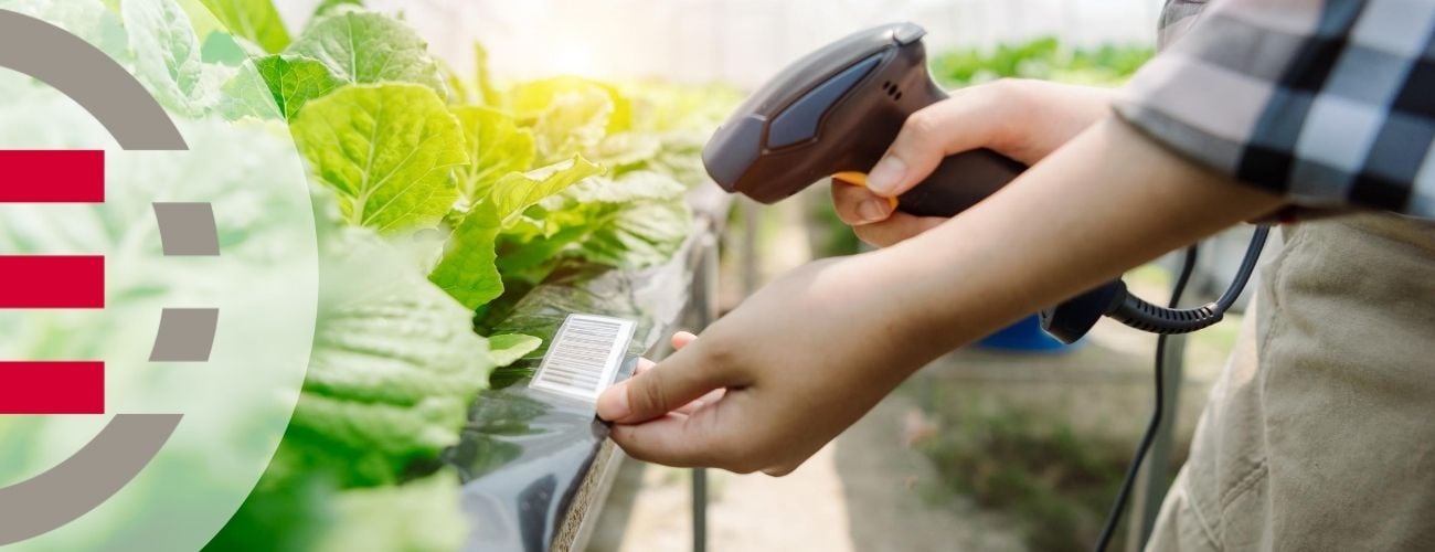 Mobile Barcode Scanning Now Allowing Retailers to Order Straight from the Sales Floor